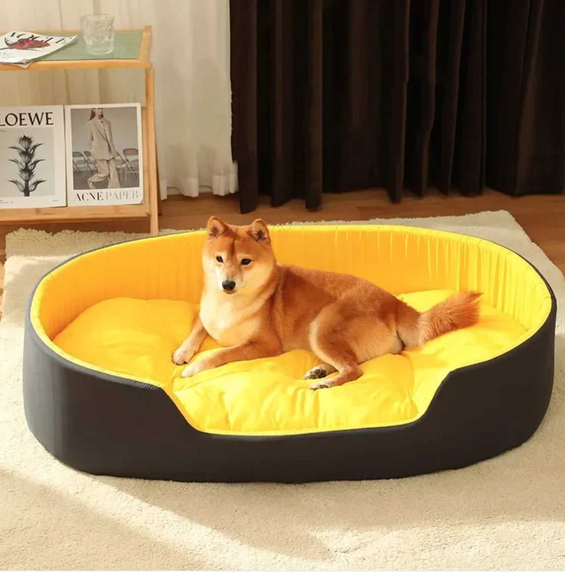 Big Dog Bed