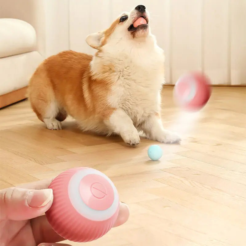 Electric Dog Toys Smart Puppy Ball Toys For Cat Small Dogs Funny Auto Rolling Ball Self-moving Puppy Games Toys Pet Accessories