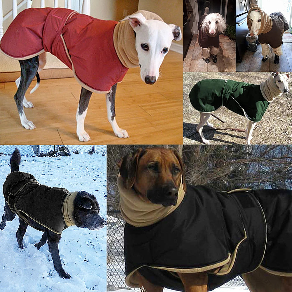 Super Warm Thick Dog Clothes