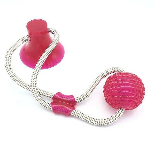 Dog Toys Silicon Suction Cup