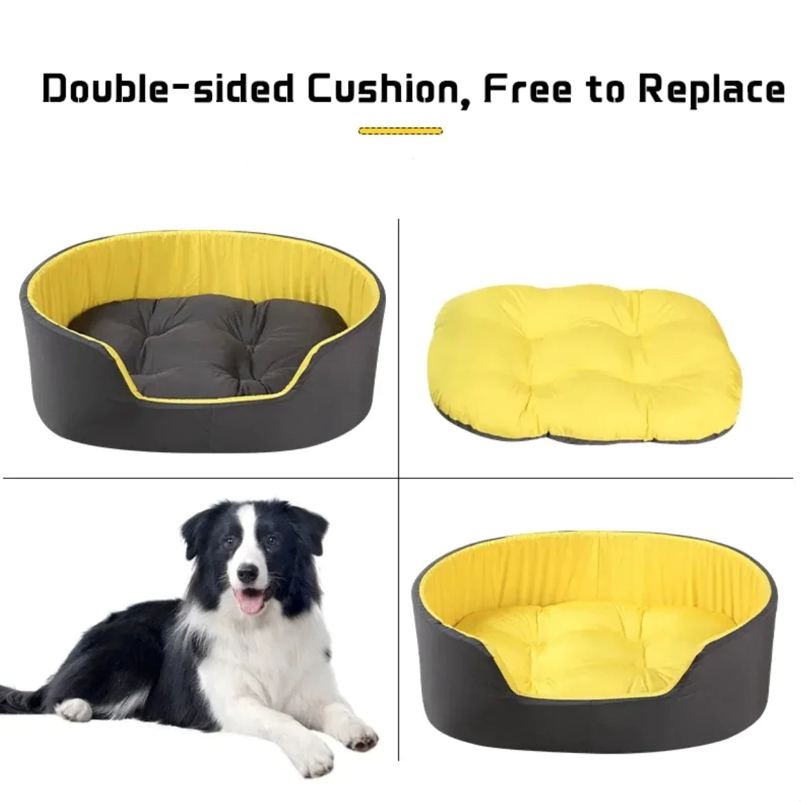 Big Dog Bed