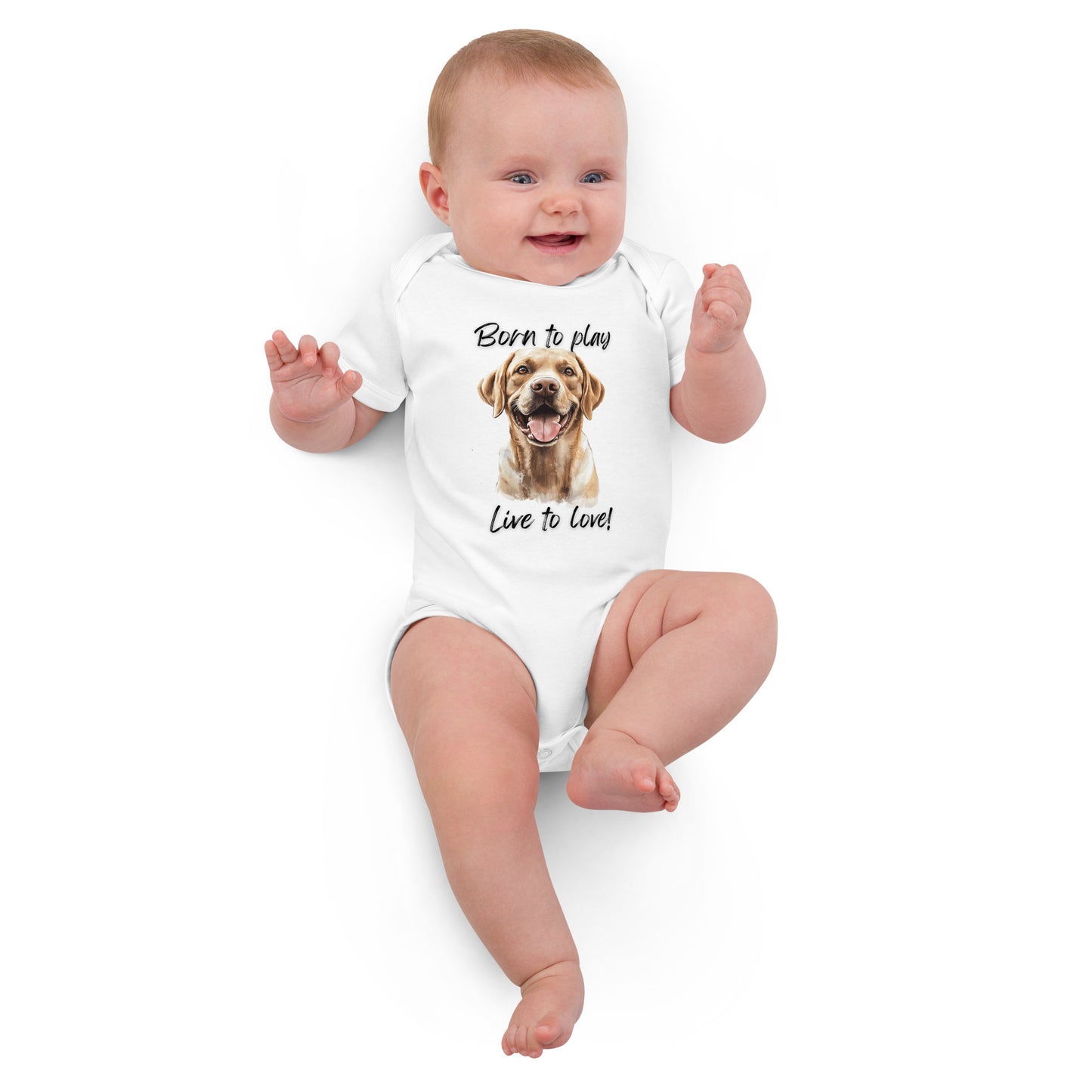 Labrador Retriever - Organic cotton baby bodysuit