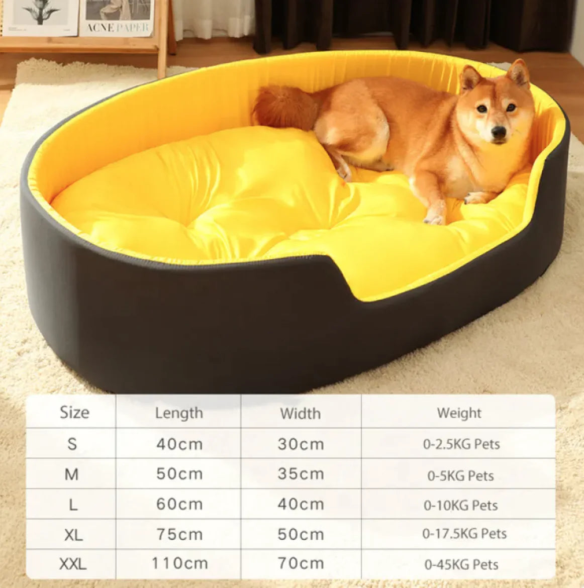 Big Dog Bed