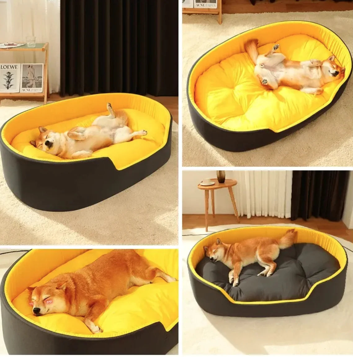 Big Dog Bed