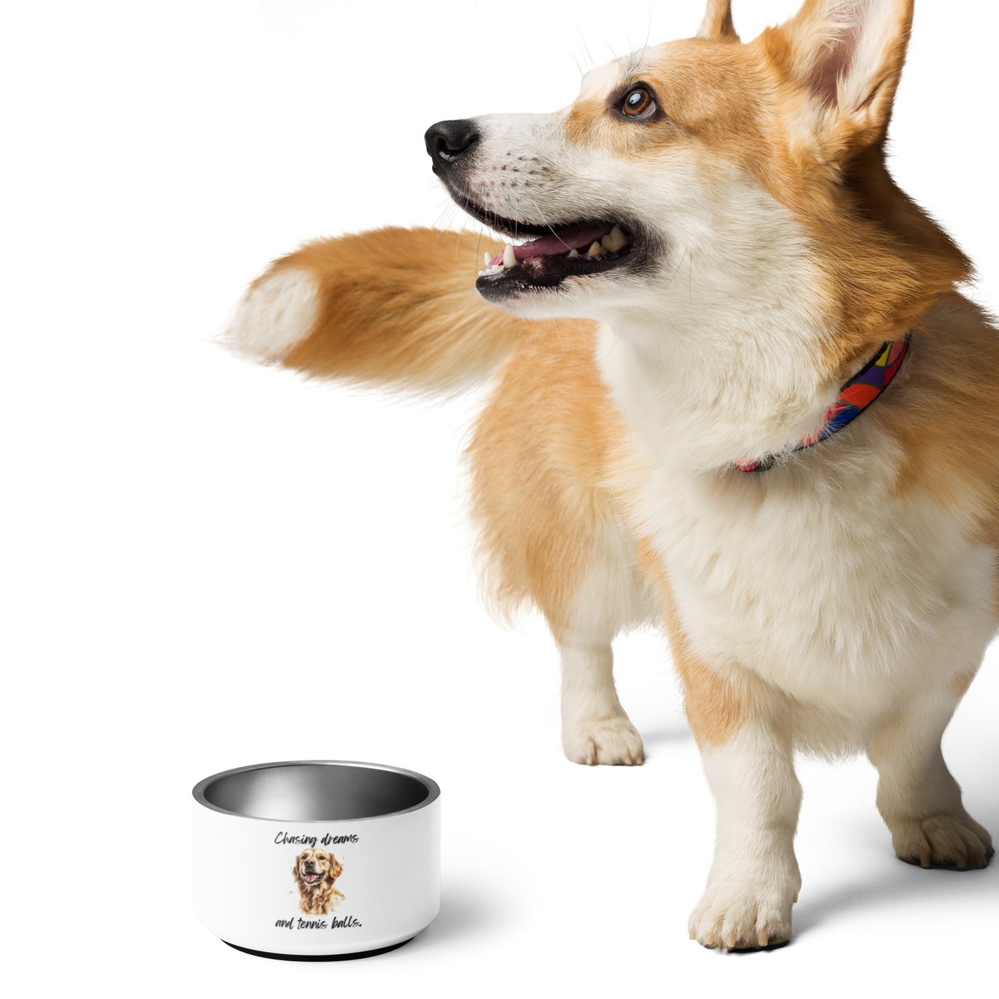 Golden Retriever - Pet bowl