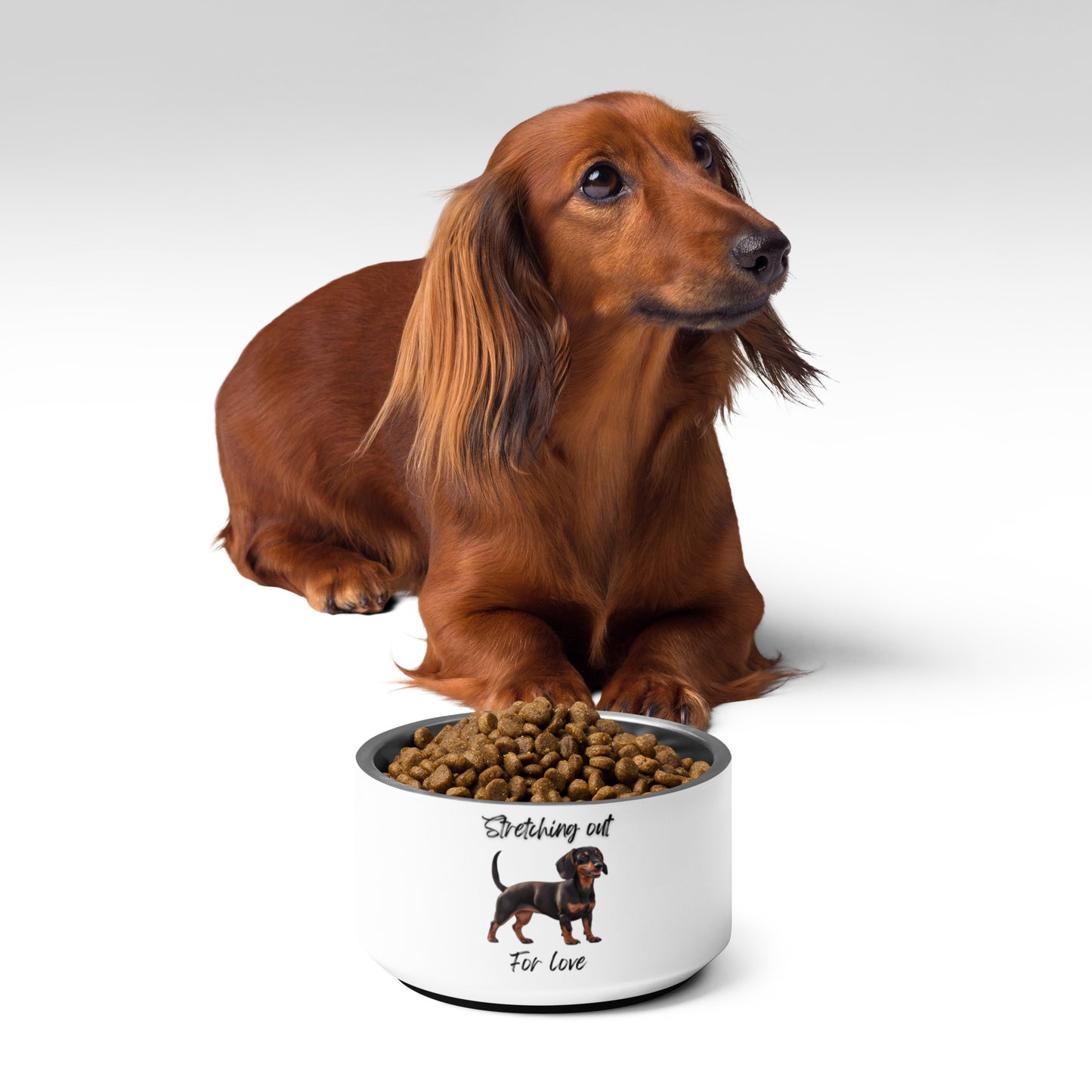 Dachshund - Pet bowl