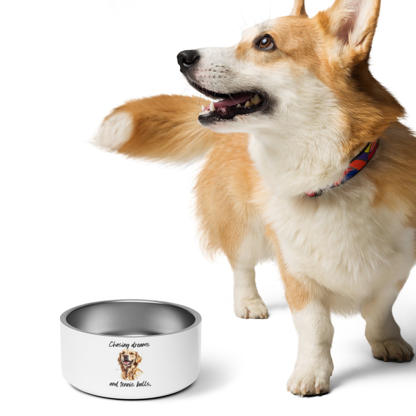 Golden Retriever - Pet bowl