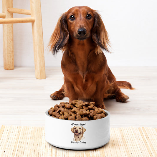 Labrador Retriever - Pet bowl