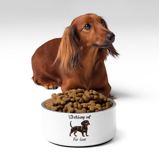 Dachshund - Pet bowl