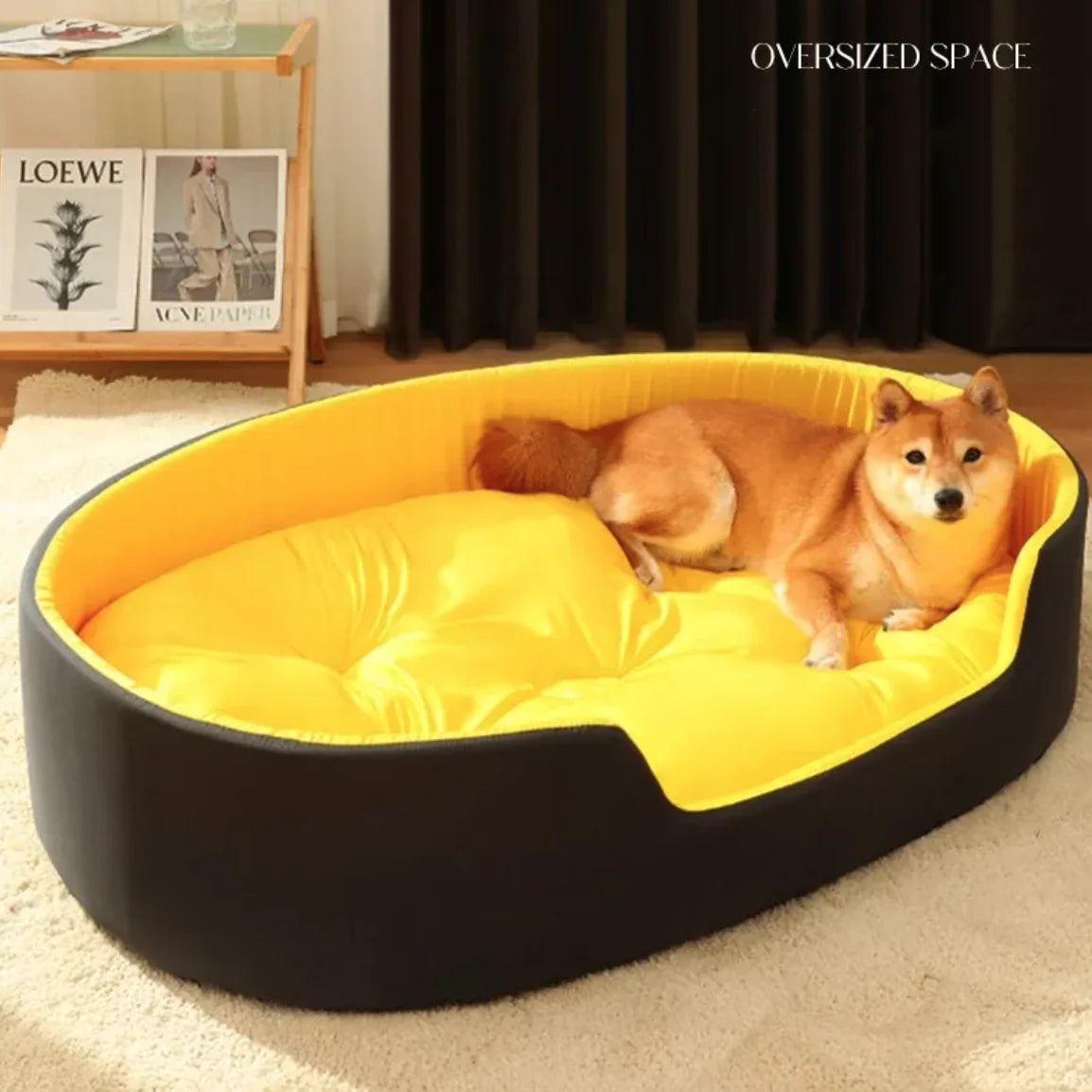 Big Dog Bed